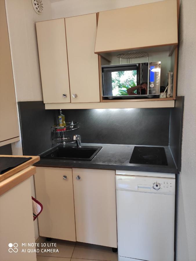 Residence Les Palmiers 니스 외부 사진